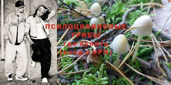 прущая мука Алексин