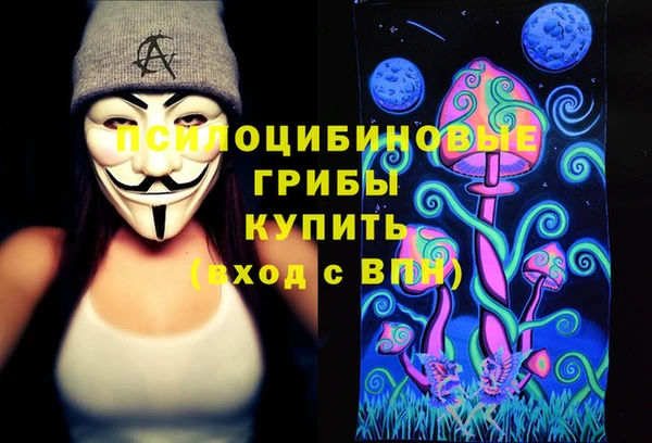 молекула духа Алексеевка