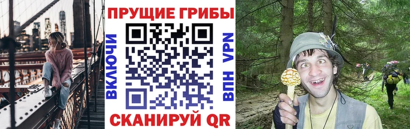 Галлюциногенные грибы мицелий  купить   mega ТОР  Павловская 